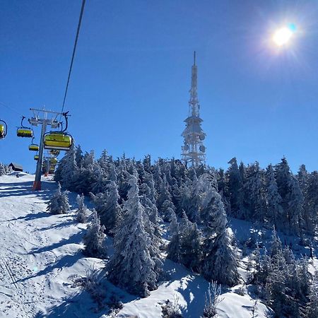 Olimpia Resort & Spa Szczyrk Exteriör bild
